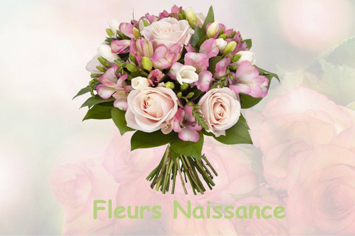 fleurs naissance MANCIOUX