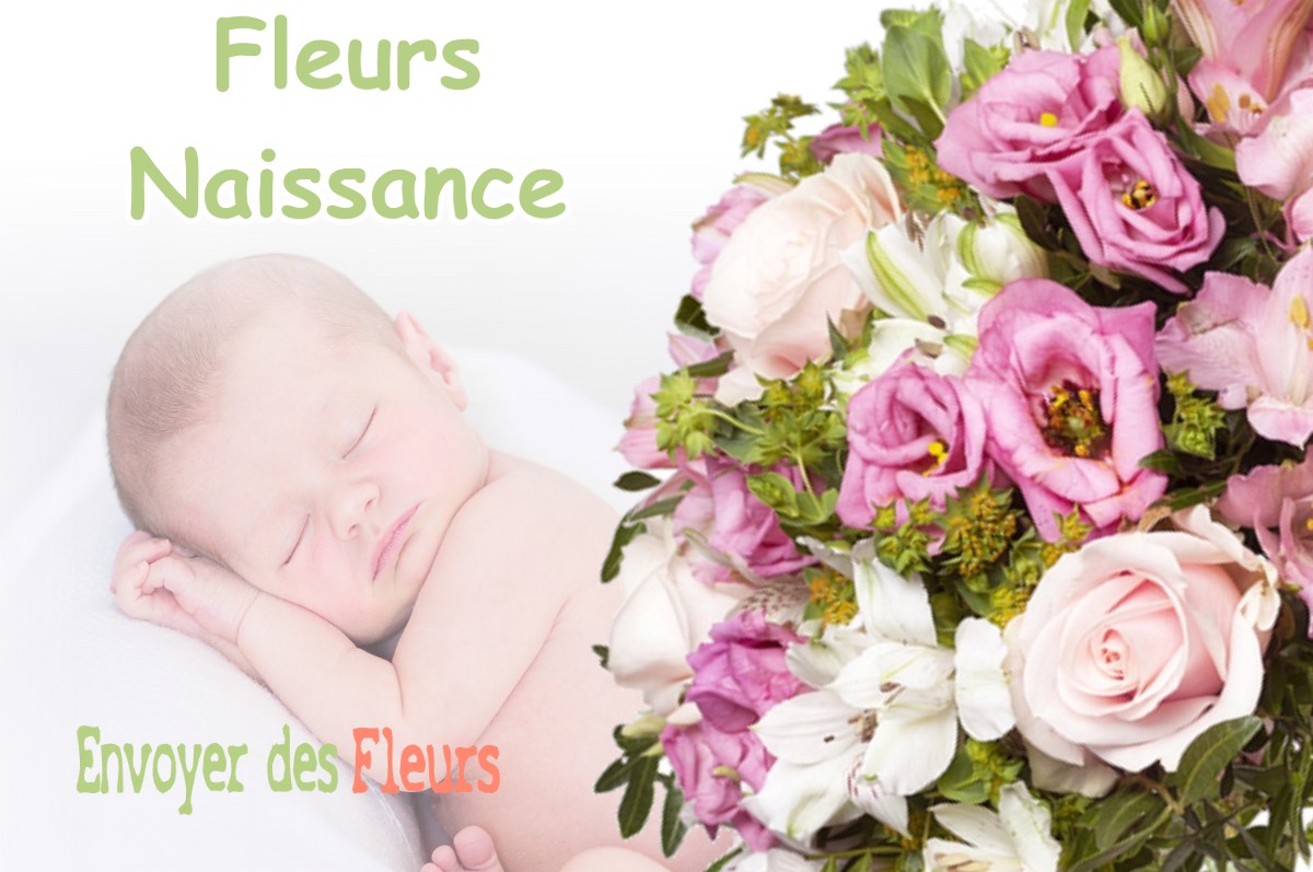 lIVRAISON FLEURS NAISSANCE à MANCIOUX